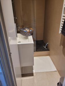 a bathroom with a sink and a shower at L'appartement Idéal 4 voyageurs in Boulogne-Billancourt