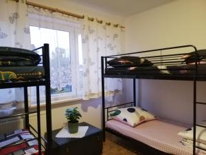 a room with two bunk beds and a window at Ewa Dom in Warsaw