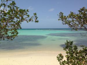 vista sulla spiaggia dagli alberi di L'oasis de Saint-François, studio An bel ti koté a Saint-François