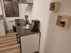 - une cuisine avec un comptoir et une cafetière dans l'établissement Appartement sympathique, à Vendeuvre-sur-Barse