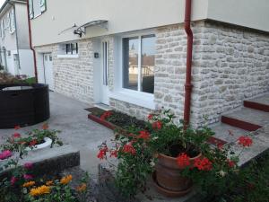 a house with flowers in front of a window at LES GRADINES in Bar-sur-Aube