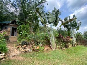 Jardí fora de Lodge au paradis fleuri