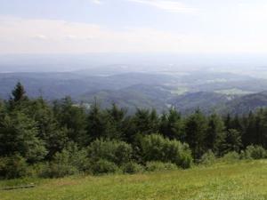 Naturlandskap nära lägenheten