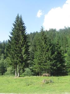 un parc avec un banc dans un champ arboré dans l'établissement Ferienhaus Schwarzenbacher, à Lungötz