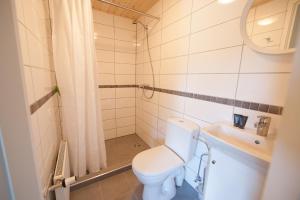 a small bathroom with a toilet and a sink at Pervalkos vetrunges in Neringa