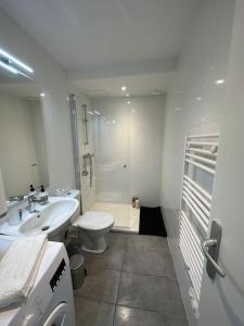 een witte badkamer met een toilet en een wastafel bij Appartement JAZZ Vienne nord in Vienne