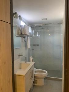 e bagno con servizi igienici, lavandino e doccia. di Hotel Dibeni Pereira a Pereira