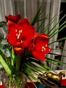 un groupe de fleurs rouges dans un vase de verre dans l'établissement nah zur S-Bahn und Altstadt, à Esslingen am Neckar