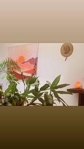 a room with a plant and a picture on the wall at Tayta Surf House in Lobitos