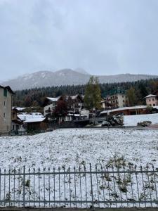 LE GEMME durante el invierno