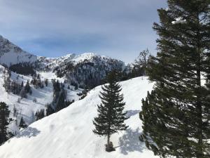 2-Zimmer Ferienwohnung an ruhiger Lage talvel