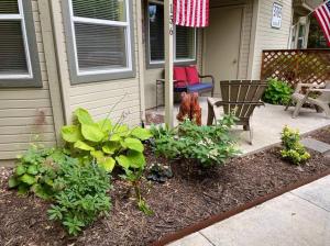 une terrasse couverte d'une maison avec un banc et des plantes dans l'établissement Hidden Gem in SE Boise with hot tub and wood burning fireplace, à Boise