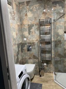 Apartament Jantar tesisinde bir banyo