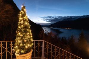 een kerstboom in een pot naast een meer bij Grandhotel Giessbach in Brienz