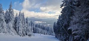 Pools, Sauna und Balkon mit Panoramablick talvella