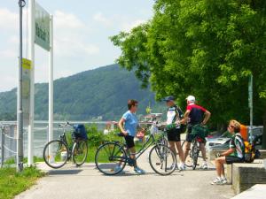 Jazda na bicykli v okolí ubytovania Donau-Rad-Hotel Wachauerhof