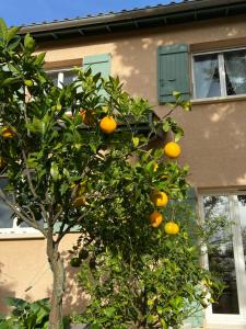 Mynd úr myndasafni af Le Relais des Malettes Chambres d'hôtes B&B í Francheville