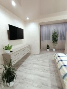 uma sala de estar com uma televisão de ecrã plano e plantas em 2к шикарний люкс! em Khmelnytskyi