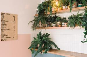 a shelf filled with plants on a wall at The June Motel, Prince Edward County in Picton