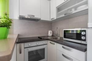 Virtuvė arba virtuvėlė apgyvendinimo įstaigoje Studio Apartment Sekula