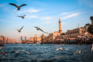 una manada de aves volando sobre un cuerpo de agua en Rove City Centre, Deira, en Dubái