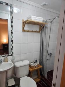 La salle de bains est pourvue de toilettes, d'un lavabo et d'une douche. dans l'établissement Anka Lodge Quitor, à San Pedro de Atacama