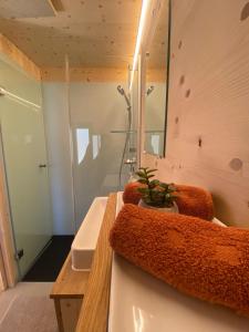 A bathroom at Unique Tiny Eco Lodges with gorgeous views to Jungfrau Massiv