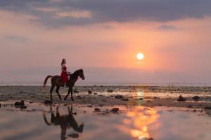 une femme faisant de l'équitation sur la plage au coucher du soleil dans l'établissement Kardia Resort Gili Trawangan A Pramana Experience, à Gili Trawangan