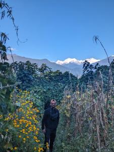 een man die door een bloemenveld loopt bij Mochilero Ostello in Pelling