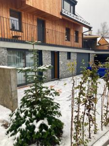 un groupe d'arbres dans la neige devant un bâtiment dans l'établissement Harrachov 702, à Harrachov