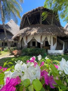 Puutarhaa majoituspaikan Kaleb's Serviced Beachfront Villa ulkopuolella