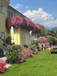 Gartenhof tesisinin dışında bir bahçe