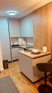 cocina con fogones y encimera en Ski INN apartment Jahorina, en Jahorina