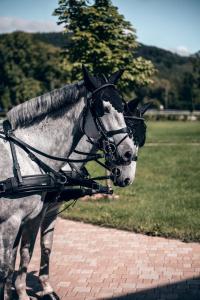 um cavalo cinzento parado num caminho de tijolos em Hotel U Pekaře - Jítravský Dvorec em Rynoltice