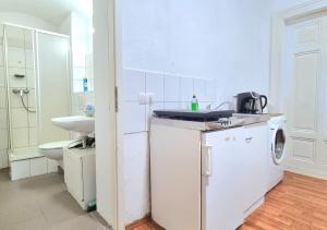 a white kitchen with a sink and a washing machine at Studio Apartement in Halle in Halle an der Saale