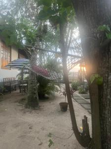 O grădină în afara Alleppey Beach Garden