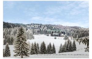 un bâtiment au milieu d'un champ enneigé d'arbres dans l'établissement Silver Mountain, Duplex 3 camere - 250 mp luxury garden - Poiana Brasov, à Braşov