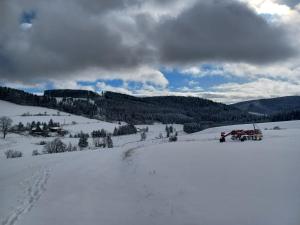 Schwarzwaldblick durante el invierno