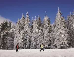 겨울의 Alemannenhof - Boutique Hotel am Titisee