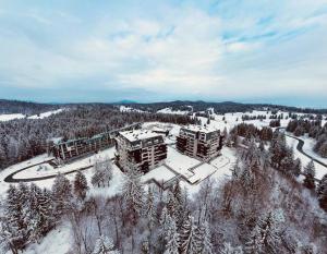 an aerial view of a resort in the snow at Silver Mountain, Poiana Brasov - Forest Crib in Braşov