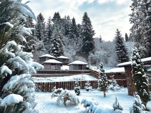 una casa cubierta de nieve frente a los árboles en Chalet Filvarok, en Slavske