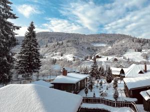 una ciudad cubierta de nieve con árboles y edificios en Chalet Filvarok, en Slavske