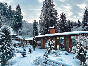 una casa en la nieve con árboles nevados en Chalet Filvarok, en Slavske