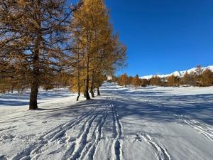 una carretera cubierta de nieve con árboles a lo lejos en Hotel Belmont, en Crans-Montana