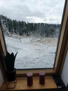 uma janela com um vaso de planta ao lado de um campo coberto de neve em Apartment Holiday Ravna Planina em Gornje Pale