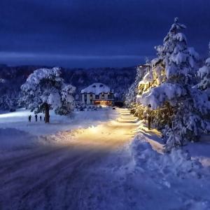 une nuit d'hiver avec un sapin de Noël et une maison dans l'établissement Heba, à Divčibare