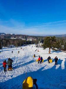 Un groupe de personnes debout dans la neige avec des snowboards dans l'établissement Heba, à Divčibare