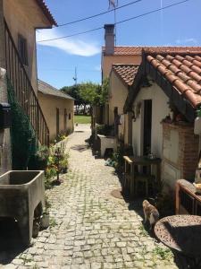 Eine Gasse mit einer Katze, die eine Steinstraße hinuntergeht. in der Unterkunft A Barraquinha 30 steps from sea in Apúlia