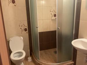 ein Bad mit einer Dusche, einem WC und einem Waschbecken in der Unterkunft Homestay Renata in Nová Lesná