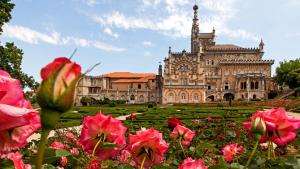 an old building with pink flowers in front of it at Palace Hotel do Bussaco in Luso